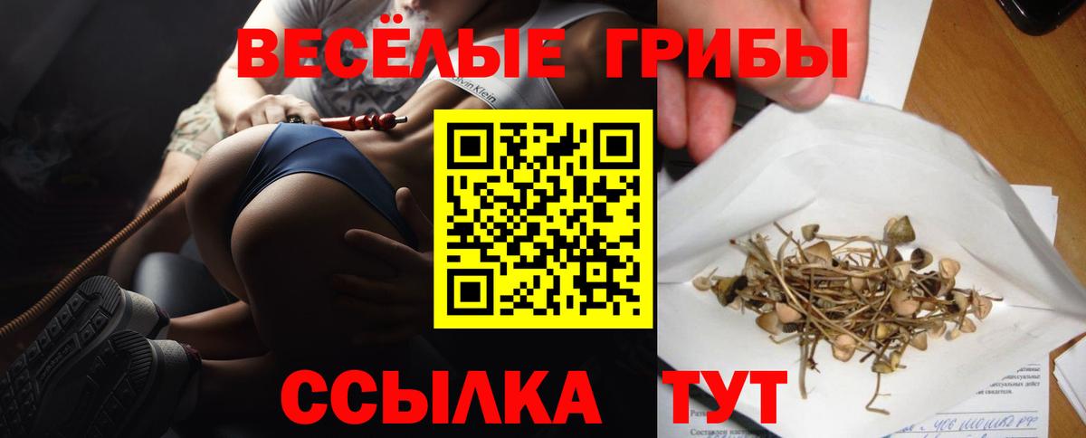 Галлюциногенные грибы мухоморы  Вход с VPN  Псилоцибиновые грибы Psilocybine cubensis  Кинель 
